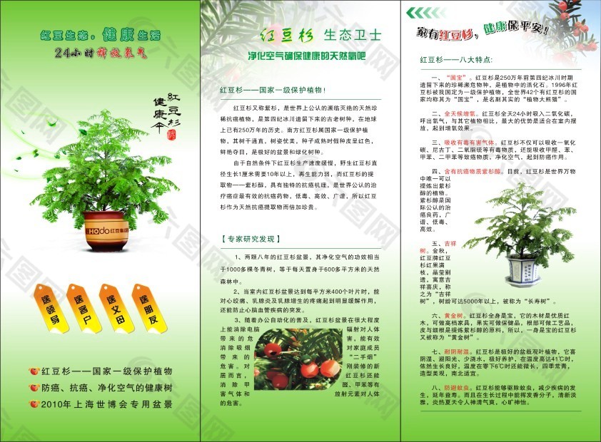 红豆杉三折页