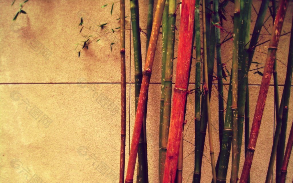 暖色竹子背景图