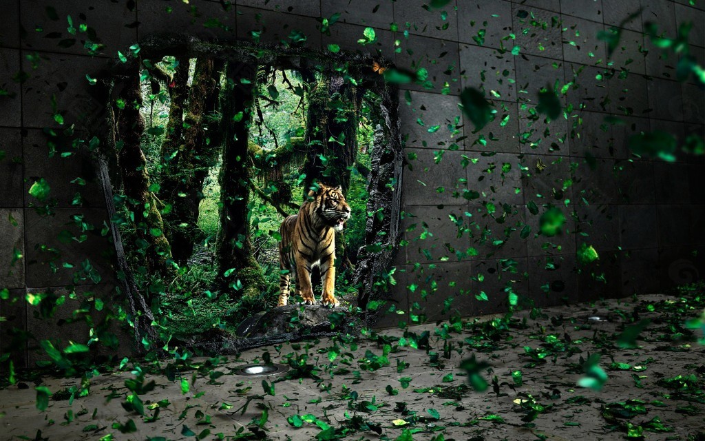 动物老虎背景图片素材