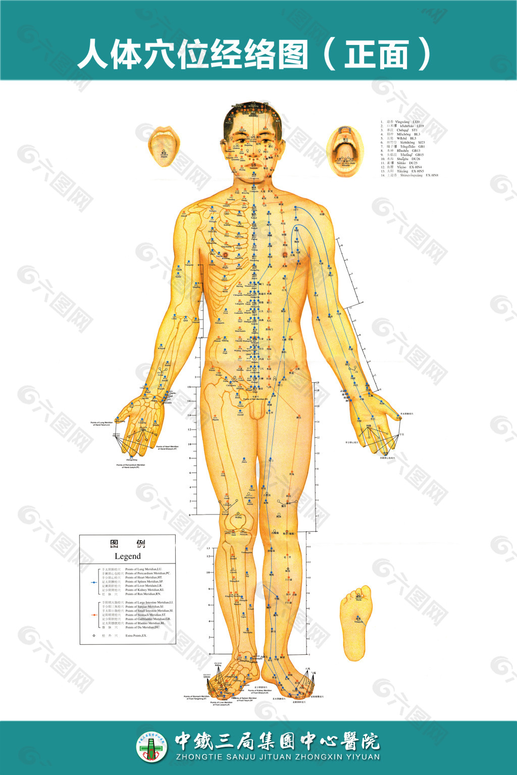 中医人体穴位经络图