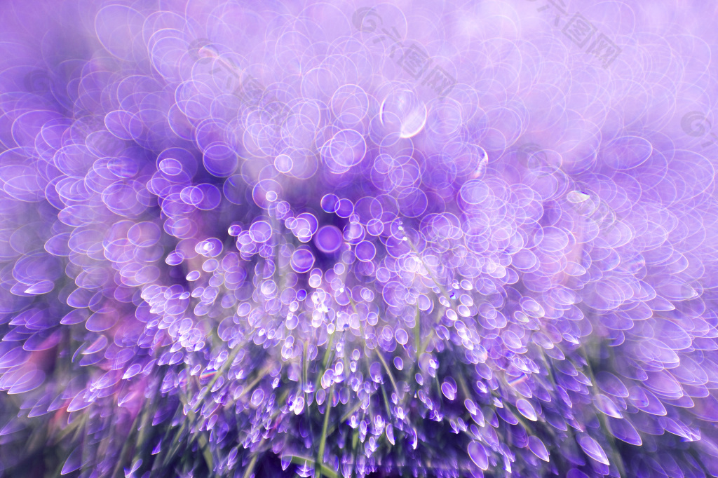 高清紫色花朵图案背景jpg素