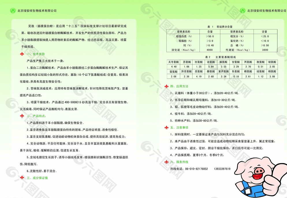 蛋白粉内页图片