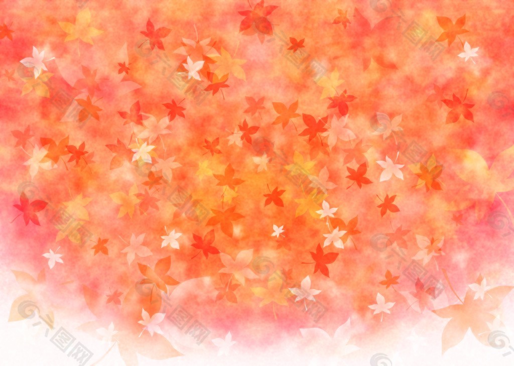 秋季红枫叶海报背景