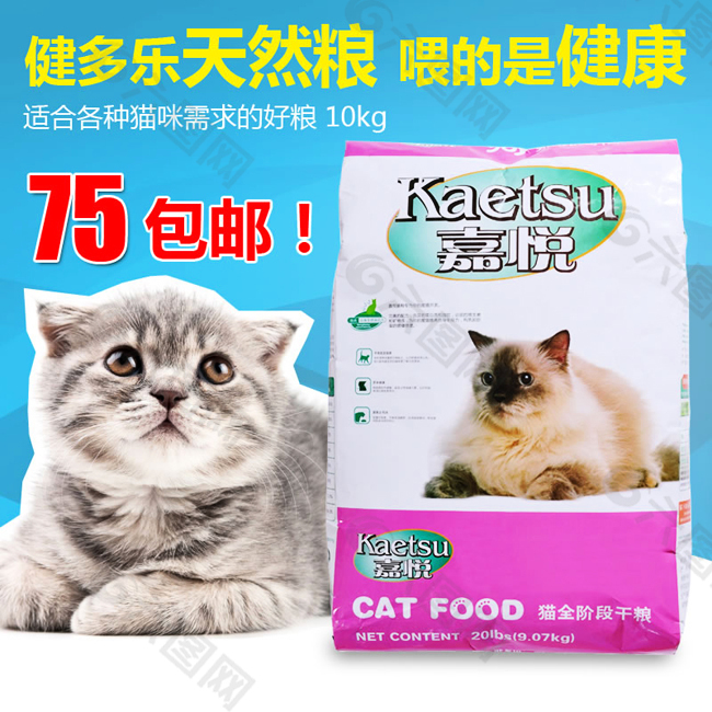 宠物猫咪主图设计