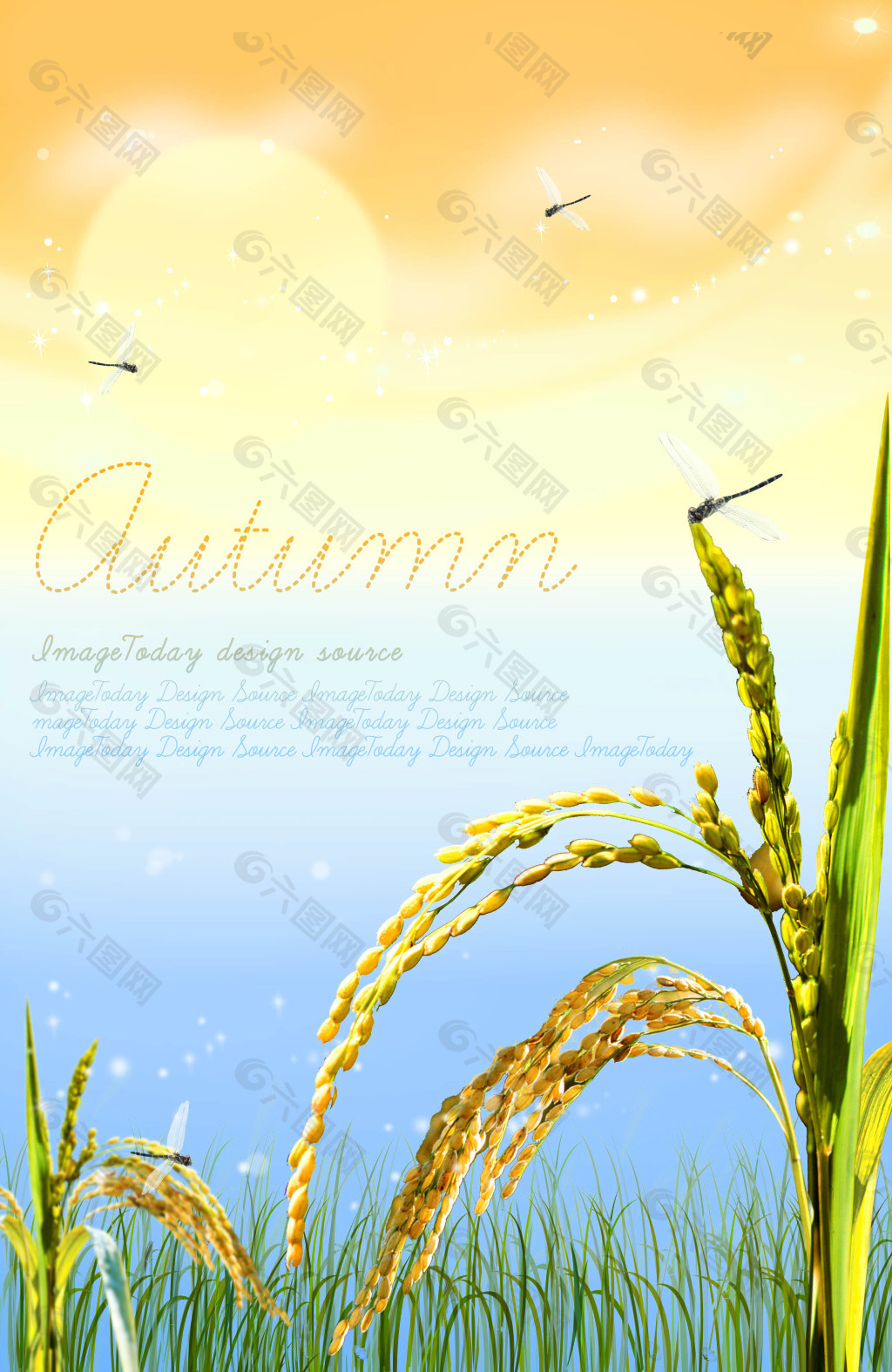 秋天色彩黄色蓝色英文绿色麦子