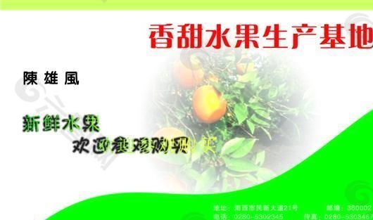 果品蔬菜 名片模板 CDR_0008