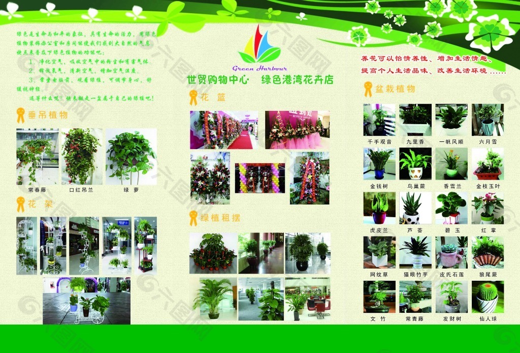 绿植花卉宣传页