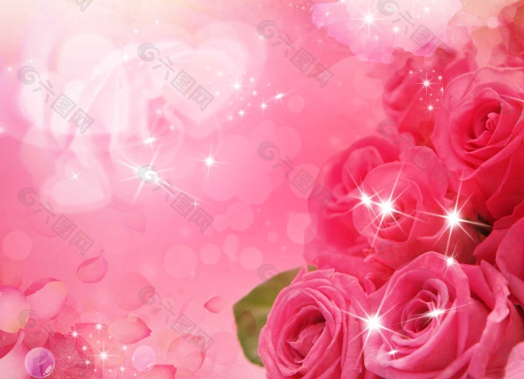 粉色玫瑰浪漫