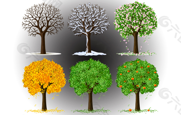 树的季节变化矢量图