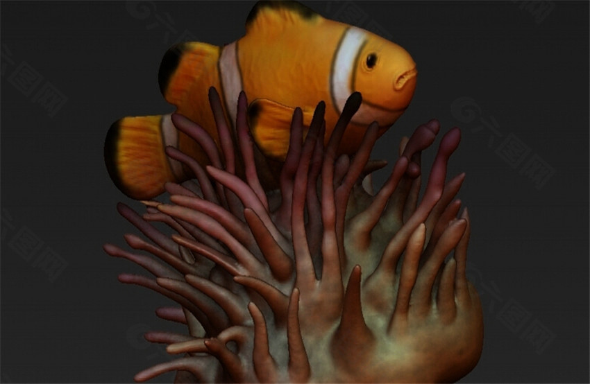 小丑鱼与海葵3D打印模型