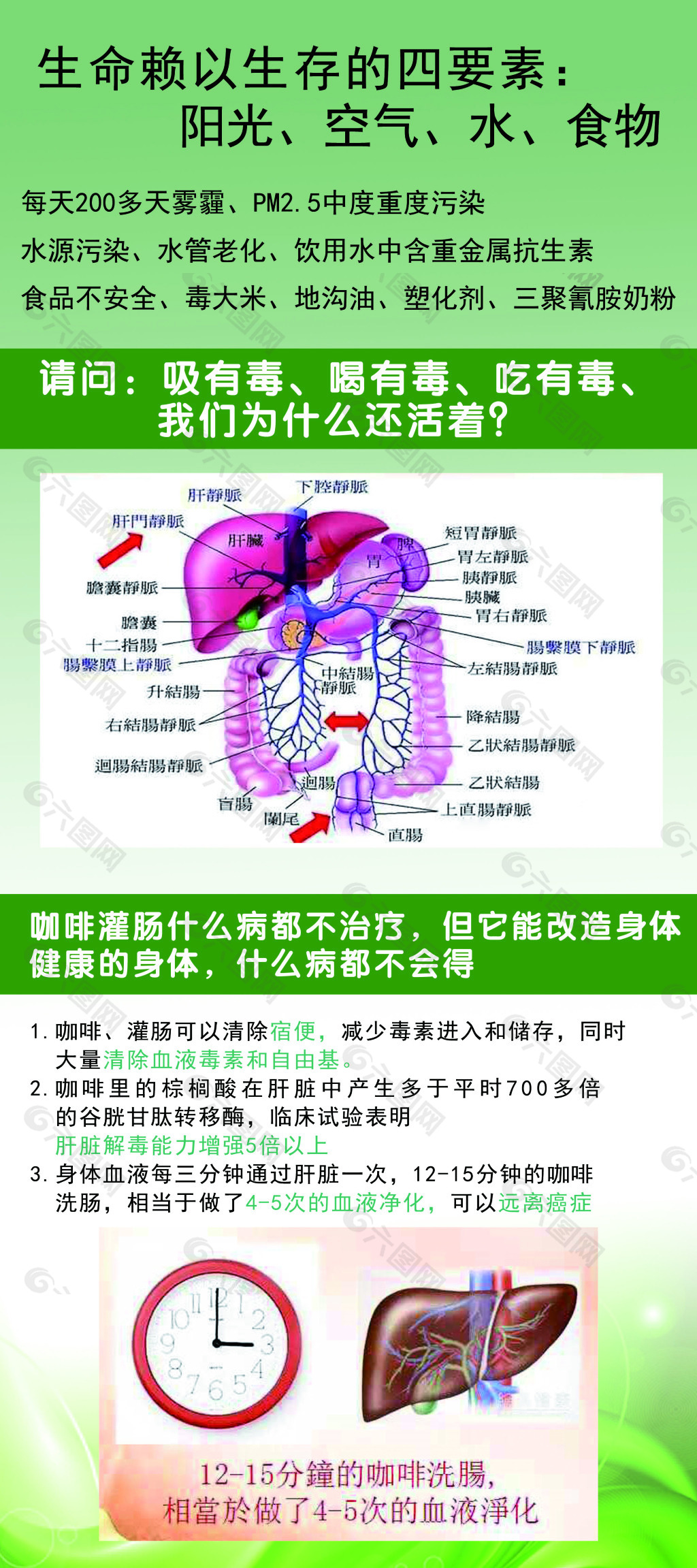 肝门静脉宣传展架