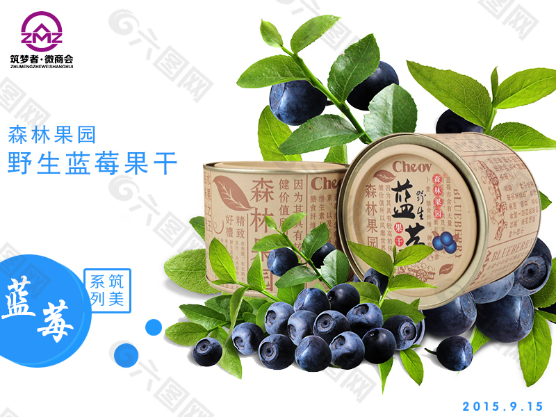 淘宝蓝莓果干宣传广告