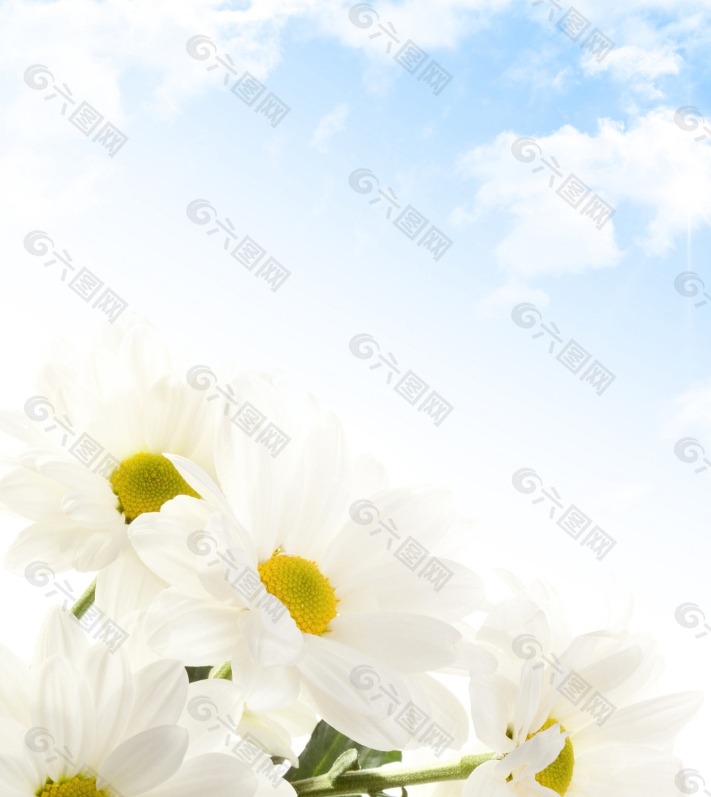 白色花强化写真衣柜玻璃移门图片
