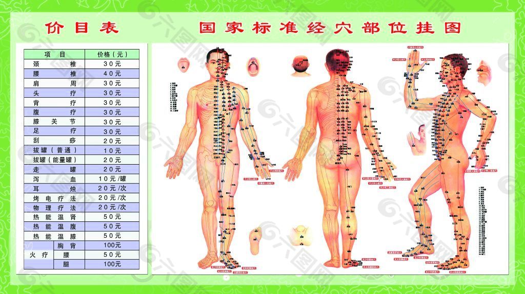 国家标准经穴部位挂图