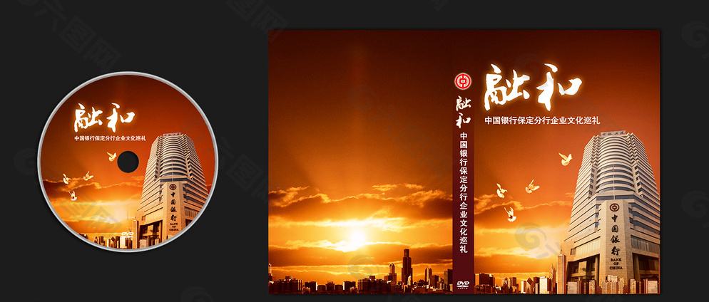 中国银行之融合光盘包装设计图片