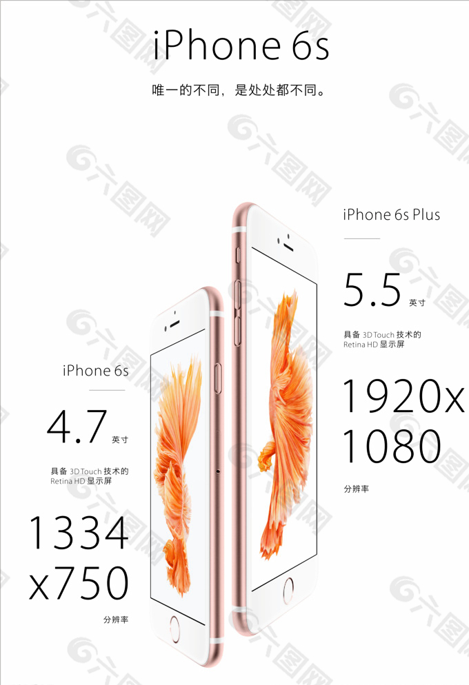 iPhone6 苹果图片