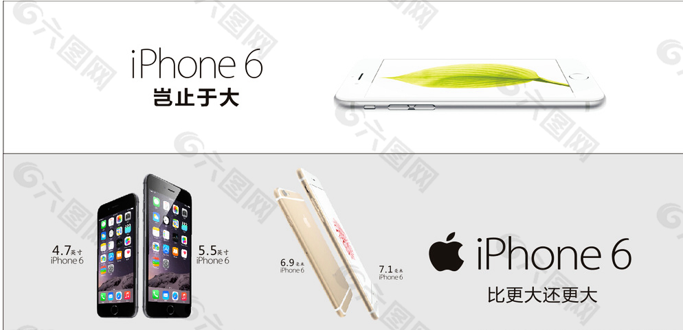 苹果6 iphone6图片