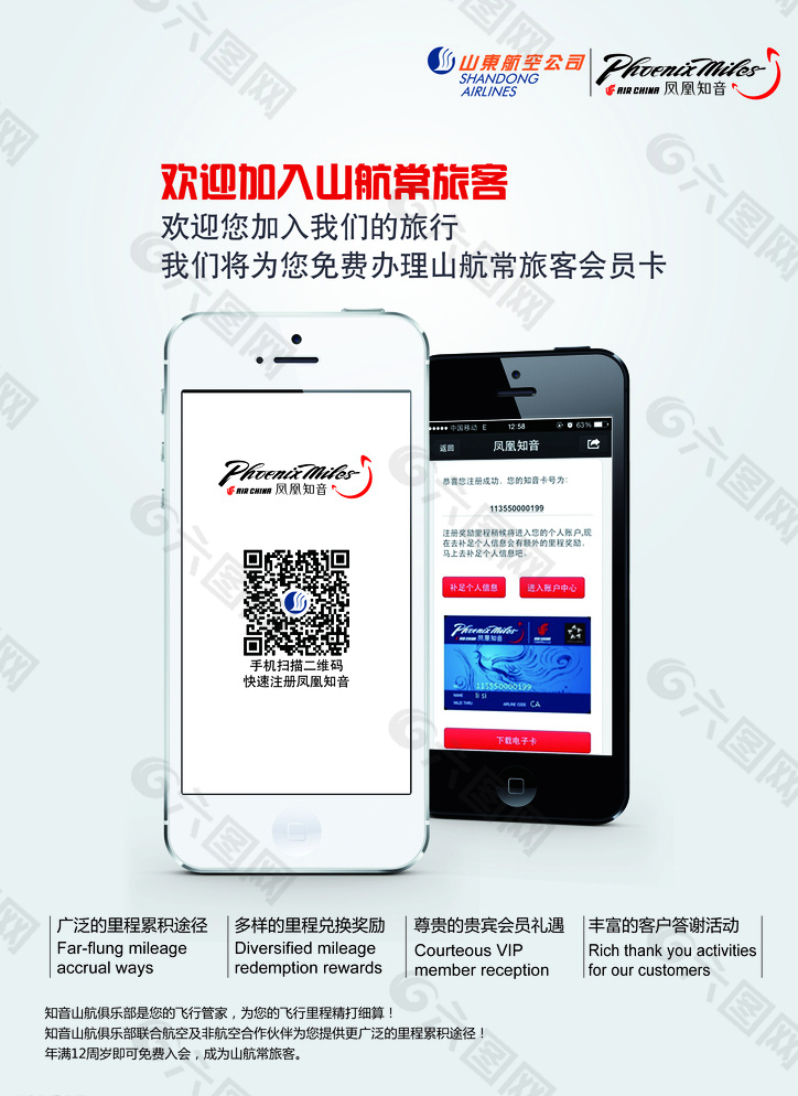 山东航空公司凤凰知音图片
