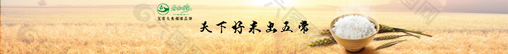 禾和稼大米banner