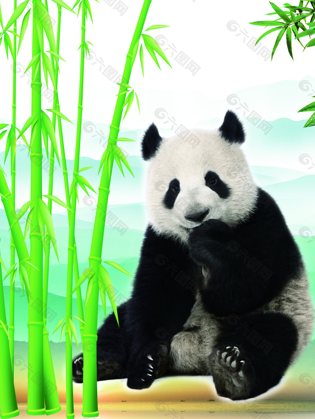 熊猫在竹林吃竹子图片,大熊猫吃竹子图片 - 伤感说说吧
