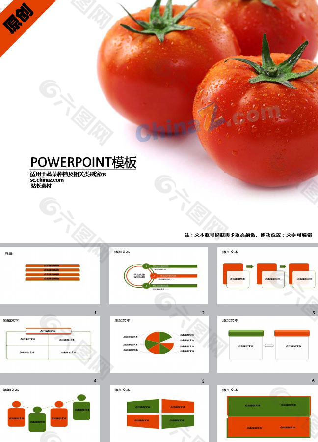 蕃茄栽培技术ppt模板下载