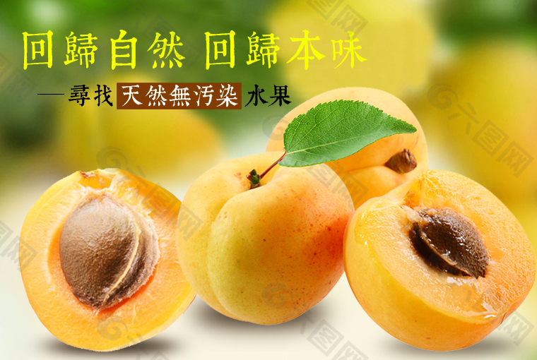 杏海报