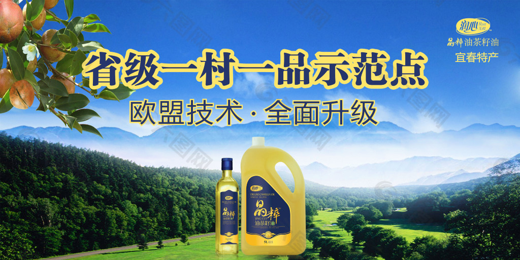 山茶油