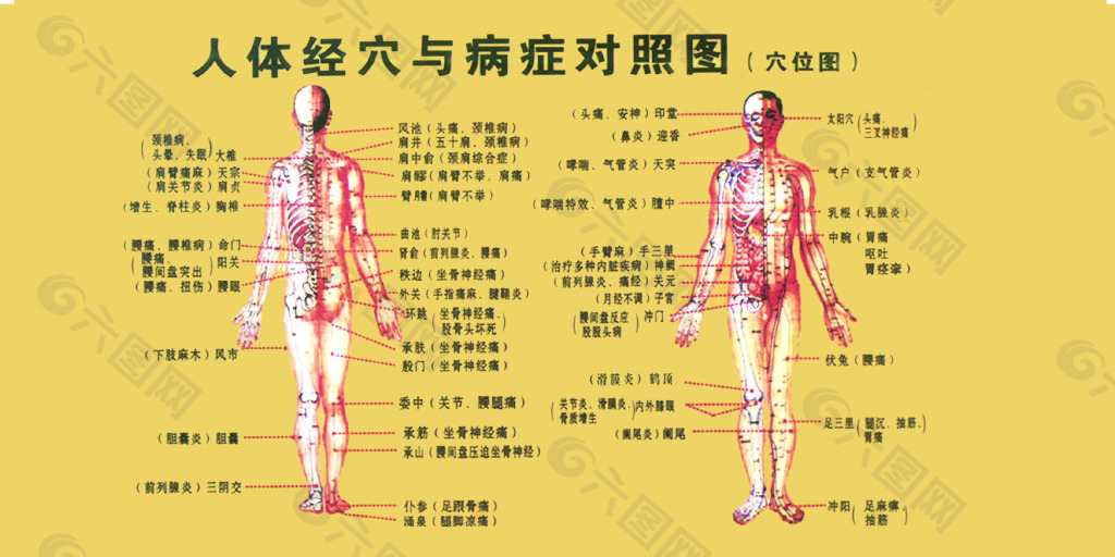 人体经学病症对照图