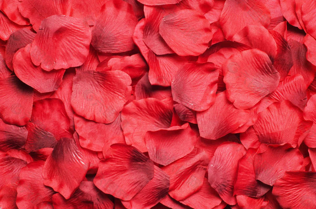 红色玫瑰花瓣背景图片