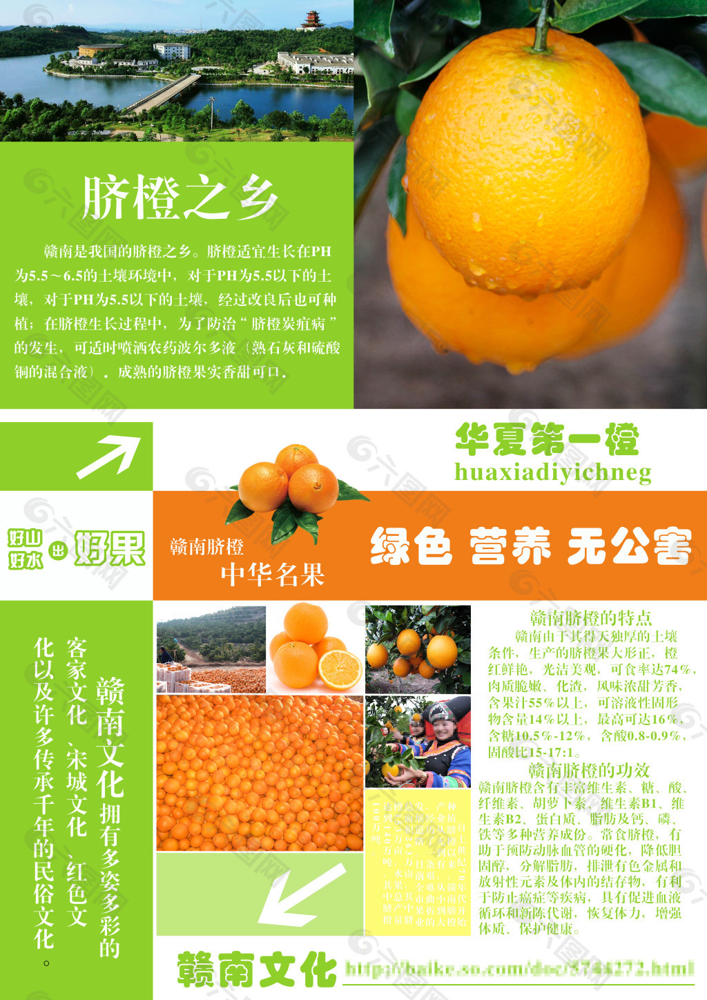 赣南脐橙广告语大全图片