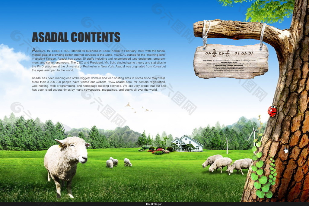 韩国高清素材羊群放牧
