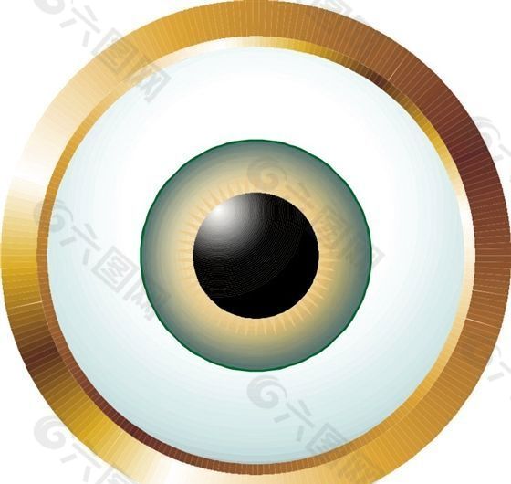 眼睛 眼球 眼珠 矢量素材 EPS格式_0073