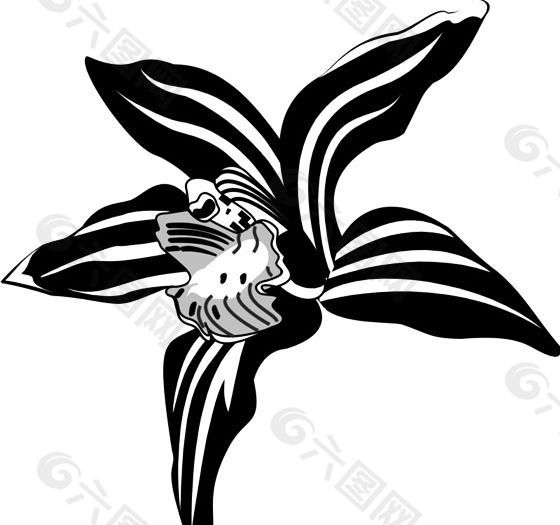花朵 花草 鲜花 矢量 EPS格式_0206