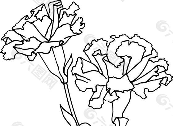 鲜花 花卉 矢量素材 eps格式_0071