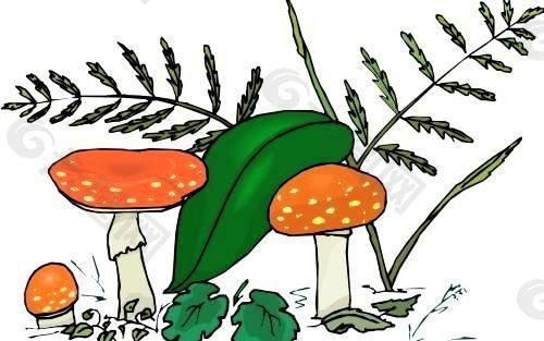 蘑菇 植物 矢量 EPS_0079