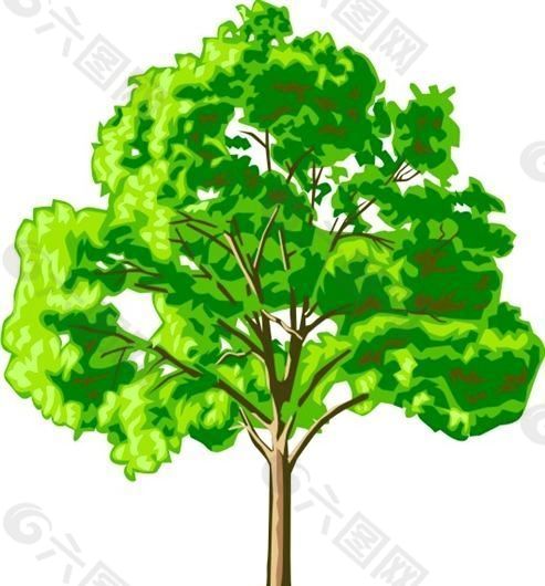 树木 植物 图案 矢量 AI_0015