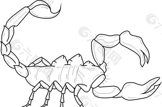 甲虫的图片 简笔画图片