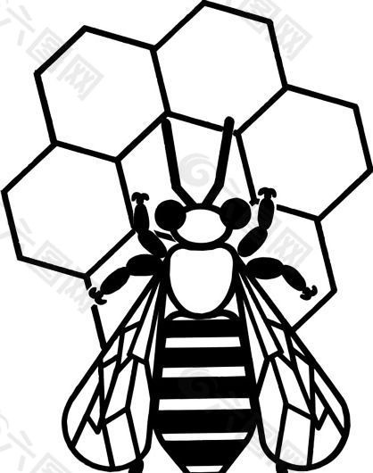 蜜蜂 矢量素材 EPS格式_0004