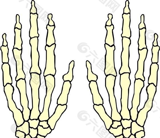 手掌 医用模型 矢量素材 EPS_0106