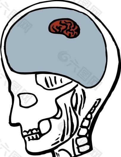 头颅 大脑 医用模型 矢量素材 EPS_0044