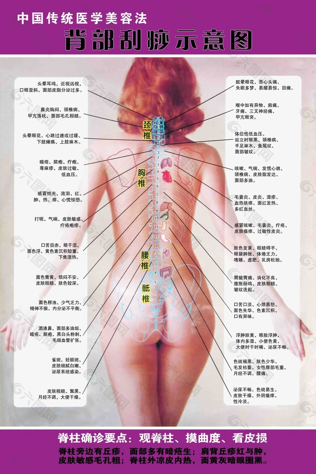 背部刮痧示意图