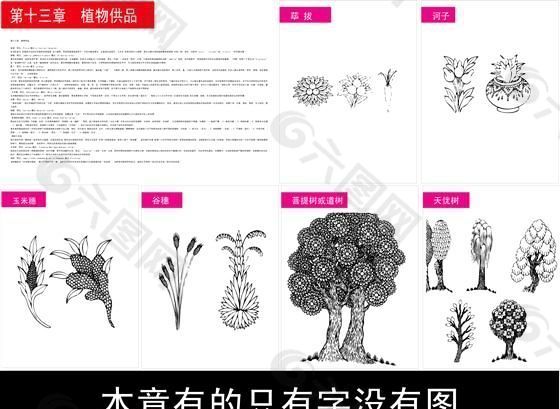 藏传佛教 植物供品