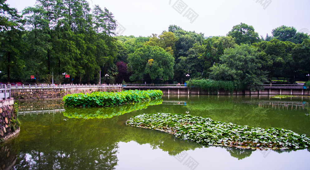 武汉大学图片