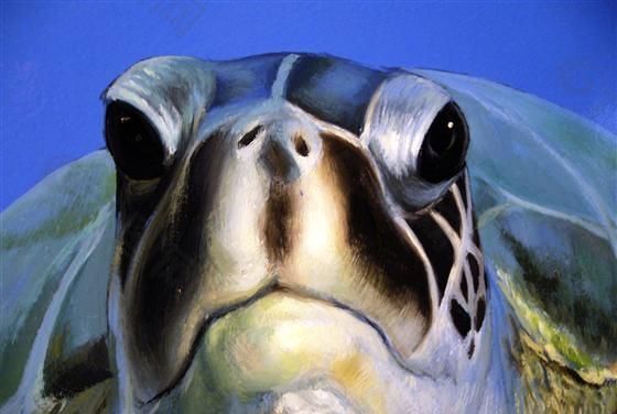 动物 丙烯画 装饰画_0007