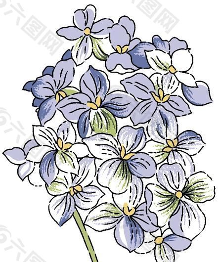 花卉图案