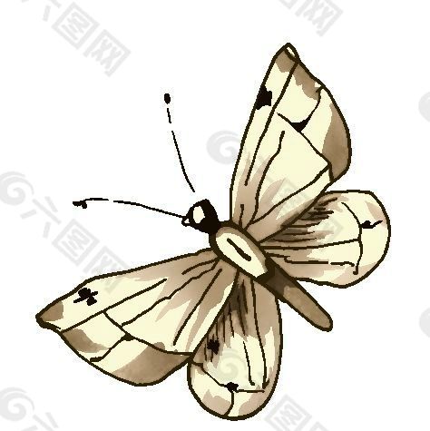 蝴蝶 彩绘动物 分层 PSD_0018