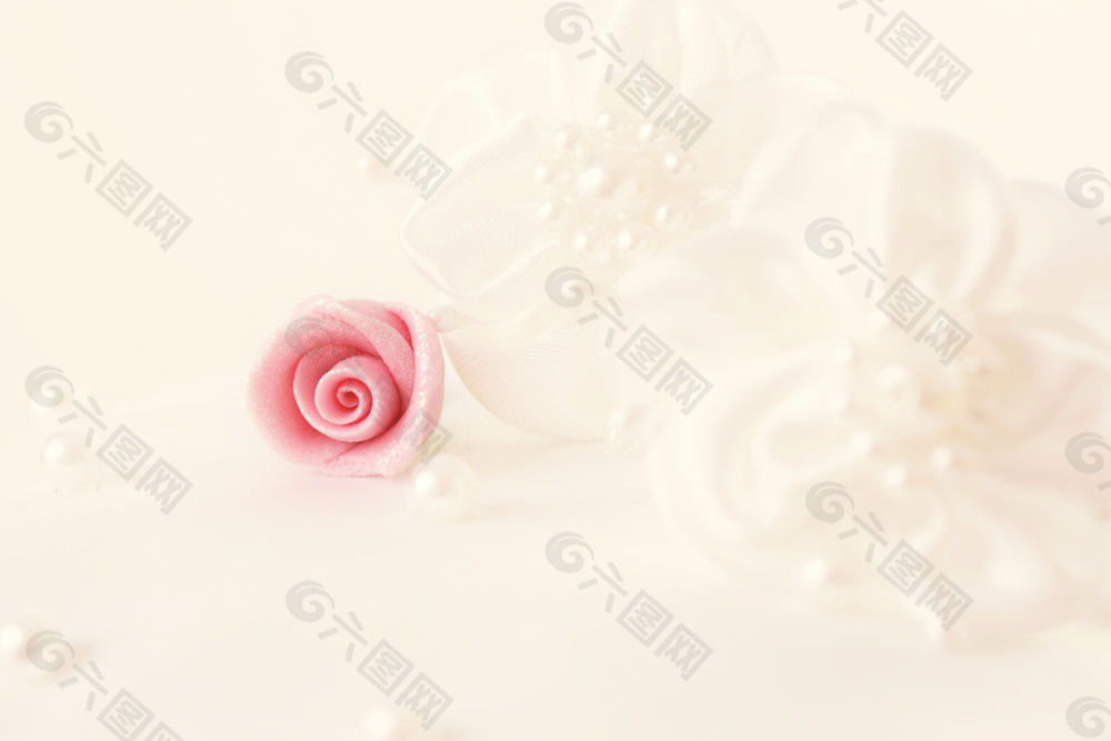 珍珠与玫瑰花背景图片素材背景素材免费下载 图片编号 六图网