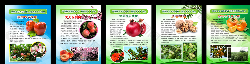 果树图片