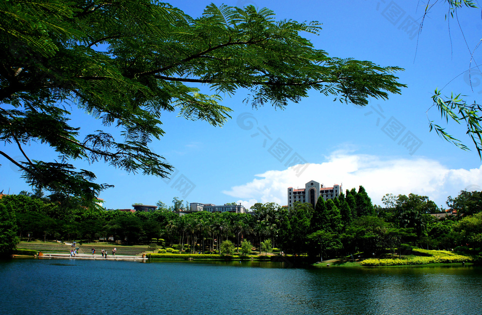 厦门大学芙蓉湖美景图片