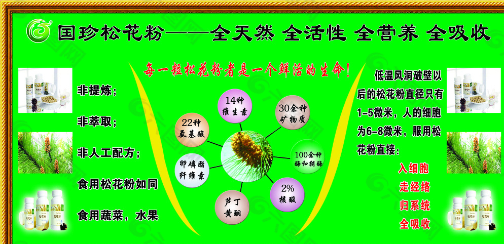 国珍松花粉图片